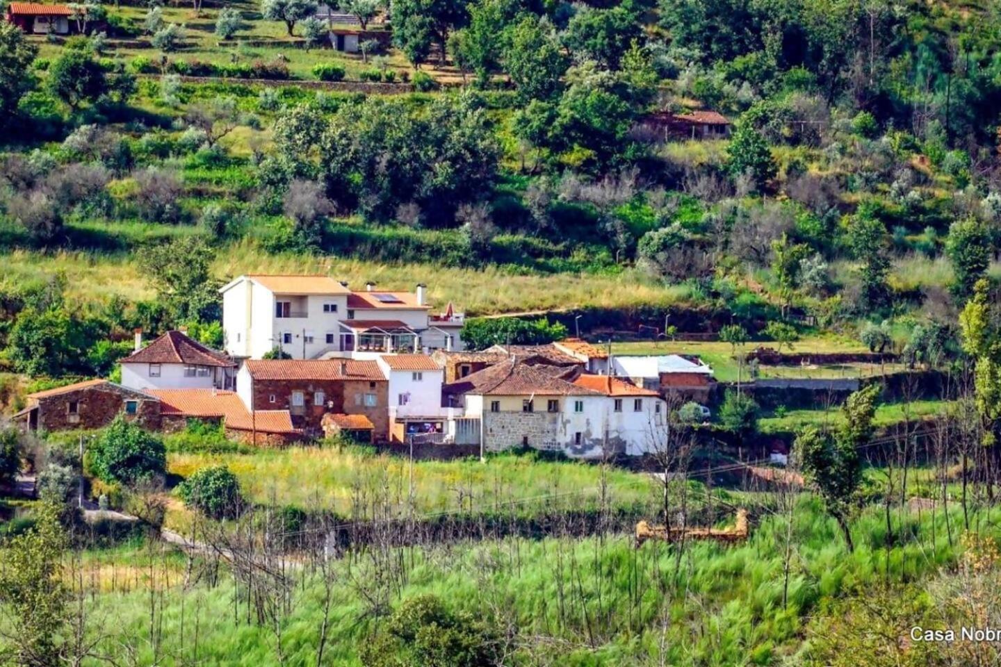 Retiro Na Natureza Casa Com Piscina Digueifel Kültér fotó